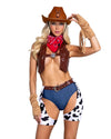 Roma Playboy Cowgirl Ranch Babe 6pc Costume PB164